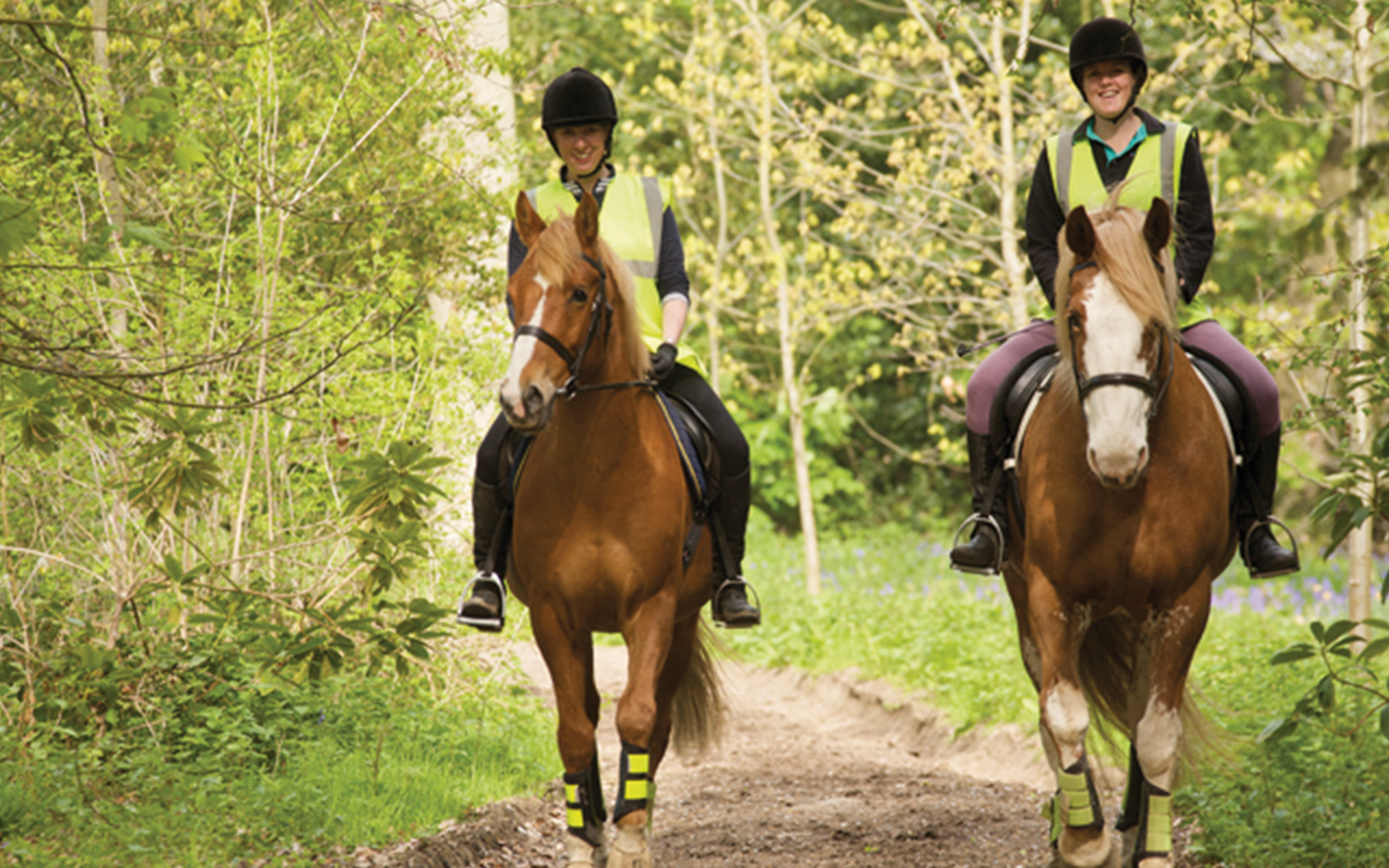 Horseback riding near shop me for adults